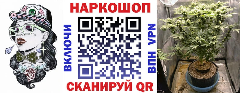 Наркотические вещества Закаменск Гашиш  Alpha PVP  Меф  Cocaine 