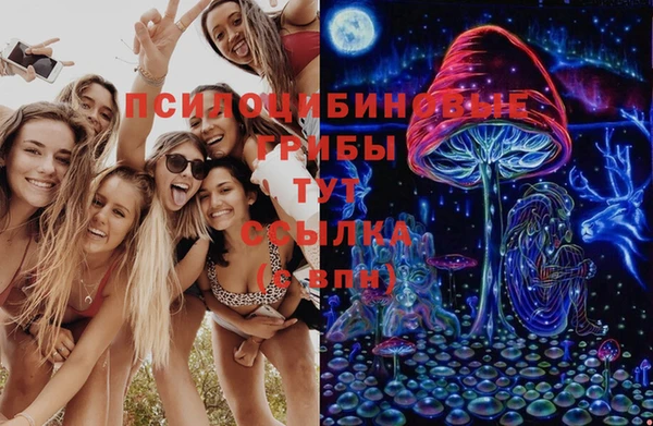 спайс Алексин
