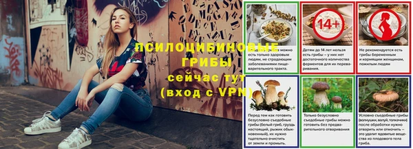 спайс Алексин
